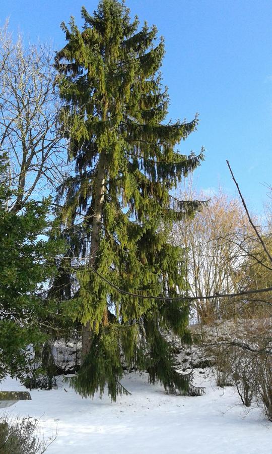 Au Grand Sapin Chambres Chez L'Habitant Henonville Esterno foto